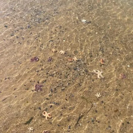 D'hotes Pres De La 3* 波尔尼谢